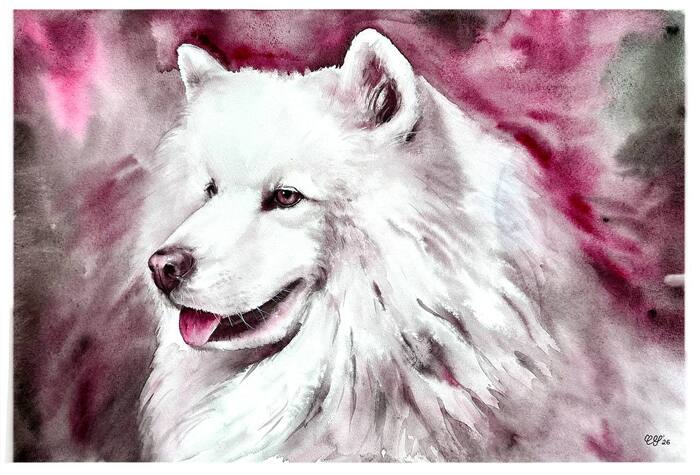 38�56, ��������, ������ (100% ������)