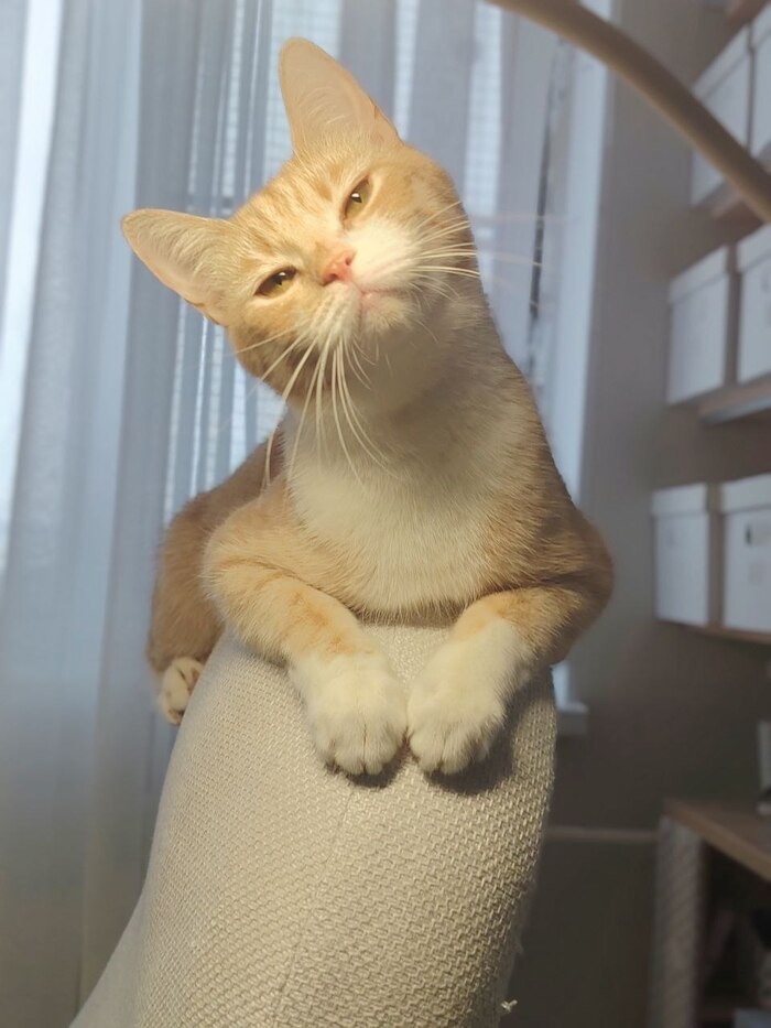 � ��� ��� ������ ���� ����� ����)