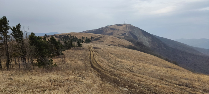 ������ �� �����...