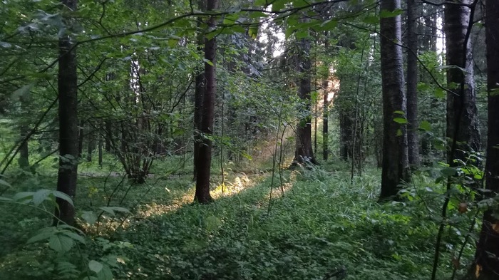 � ��� ����� ��� ������ ���� � ������� ����� �� �������