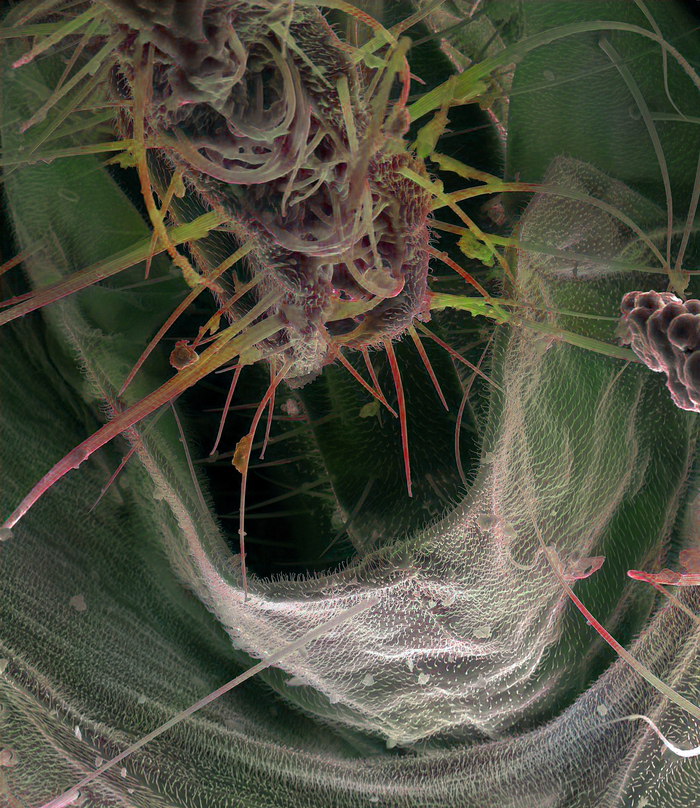 ���   ������ ���� � ����������� ����������