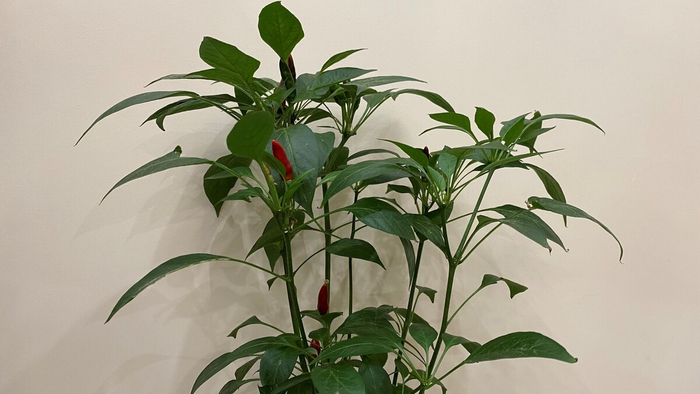 ��������� ������