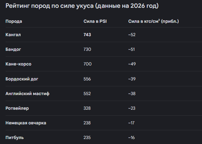 �� �������� �� ���, ���� � ���� �������������� ���������� ���, �� ����� ��� "��"