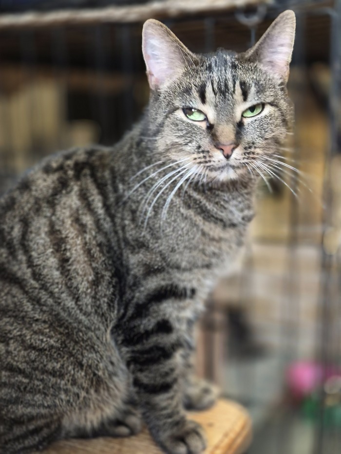 �������� � ����������� ����