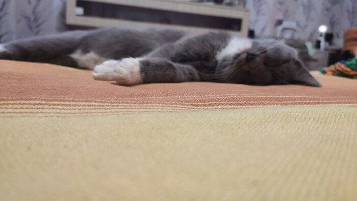 растеклась