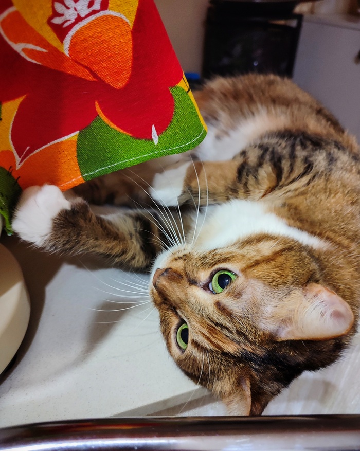 ���! ��������!