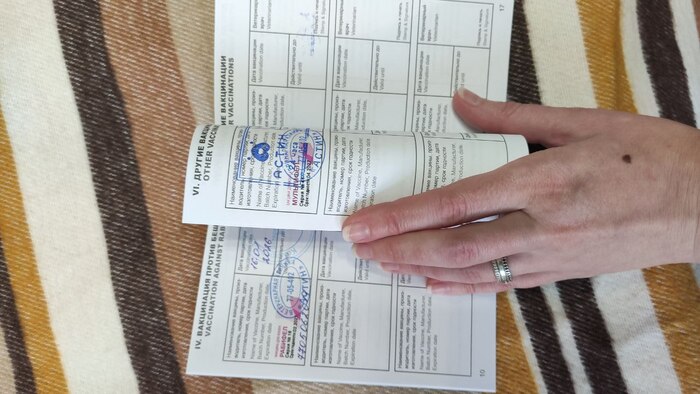 уже не только усы лапы и хвост её документы