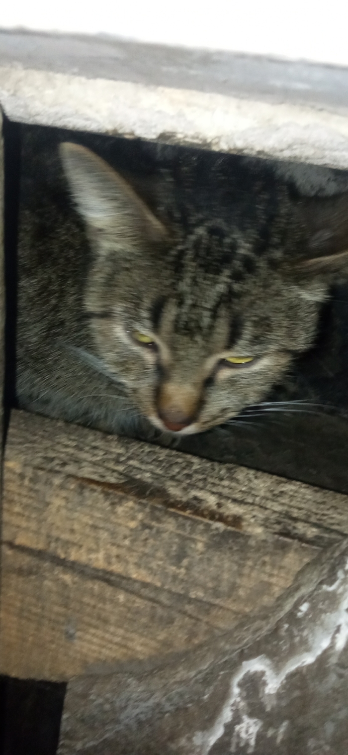 ����� ��������, ��������, ������� ������������ � ���� ���������� ������, �������� � �����.