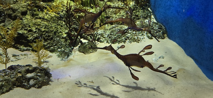 ��� ����� �������� ���������� ������� �������