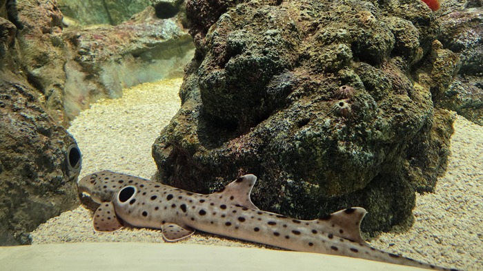 �������� ������ �� ������� �����������