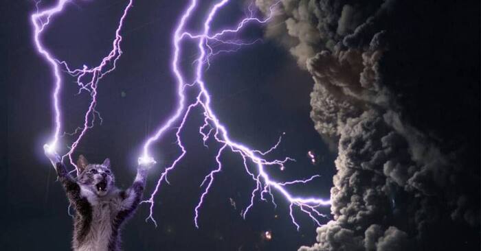 ������ � ����������� �������������