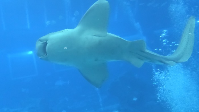 ��� ���� �����. ����, � ������� ���������� ������ ������� ������� ���� - ��-�� ������� ������ � ���� ��� ��� ���������� ������