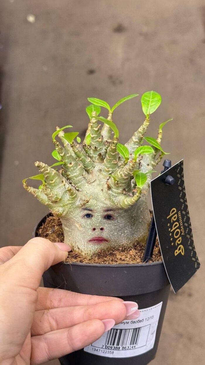 ���� ���� ������ ������