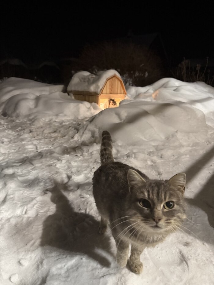 ����-���� �� �������� ��� ������ �� ����� ������� �� ����������?