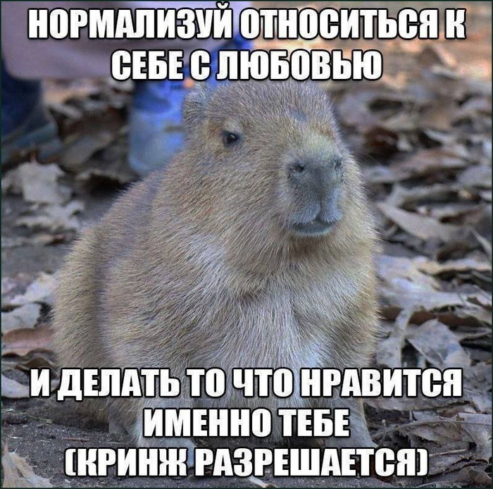 �������� ������� �� ����������