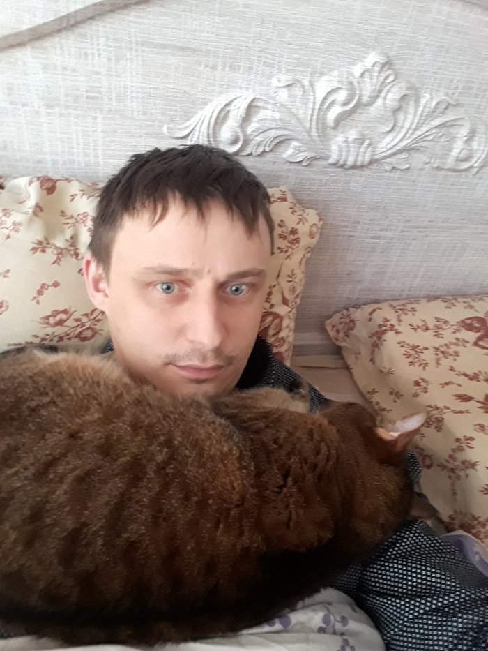 ���� ������