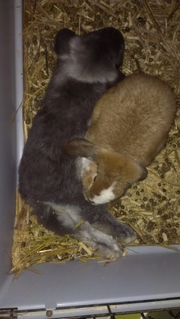 ����� �� ���� ����� �� ����������? Ozon�