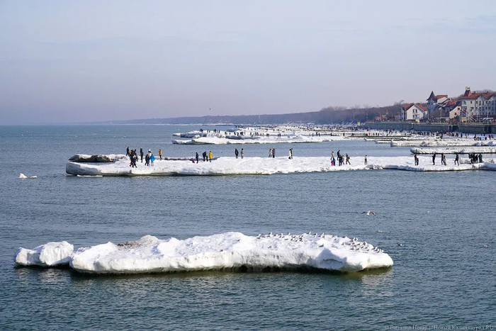 ��������� ���� ������������ 2021