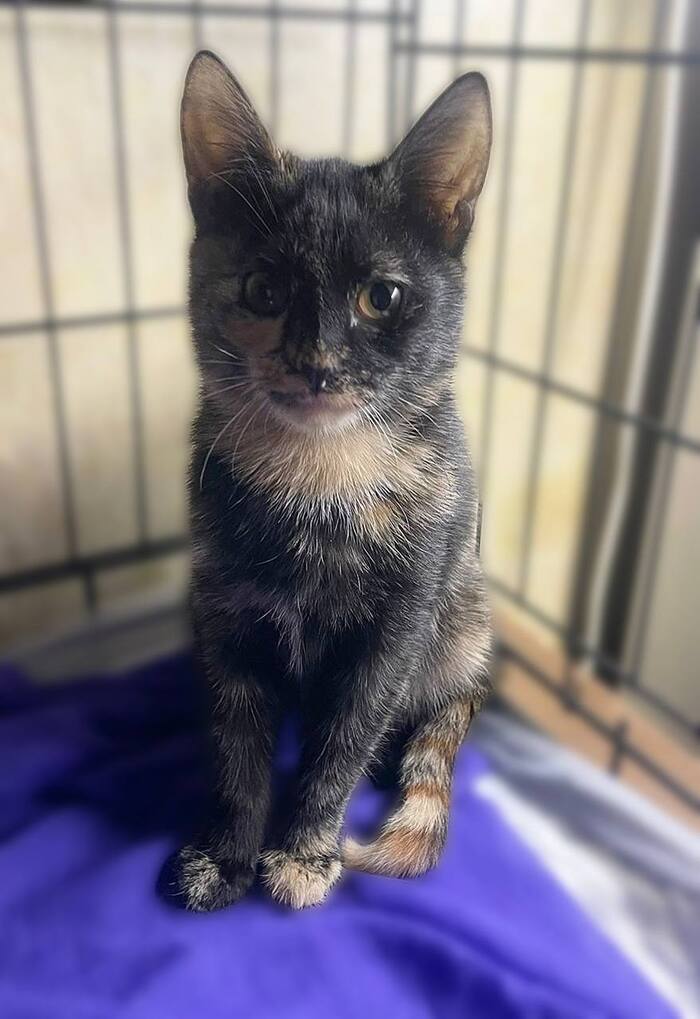 ����� �������� ������ ������� ���� ���!