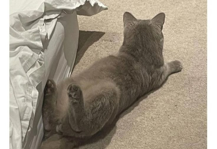 ��� ���������� ����� � ����� ������ �� ����� ))