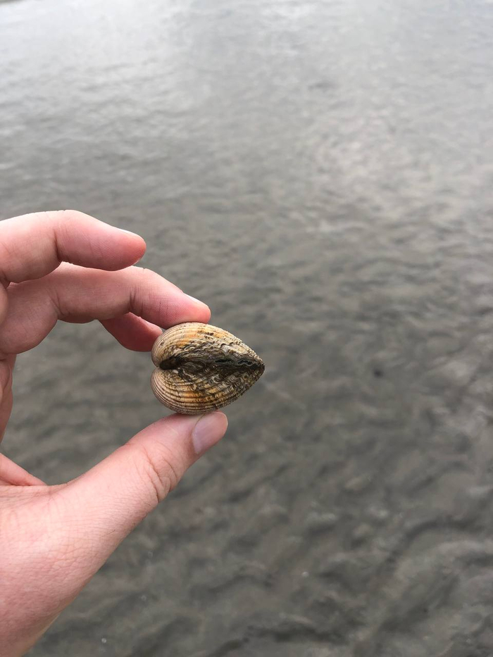 ����� ��������� �����, ������ �����. �� ������ ���� ����� ������ ������� �� ���.