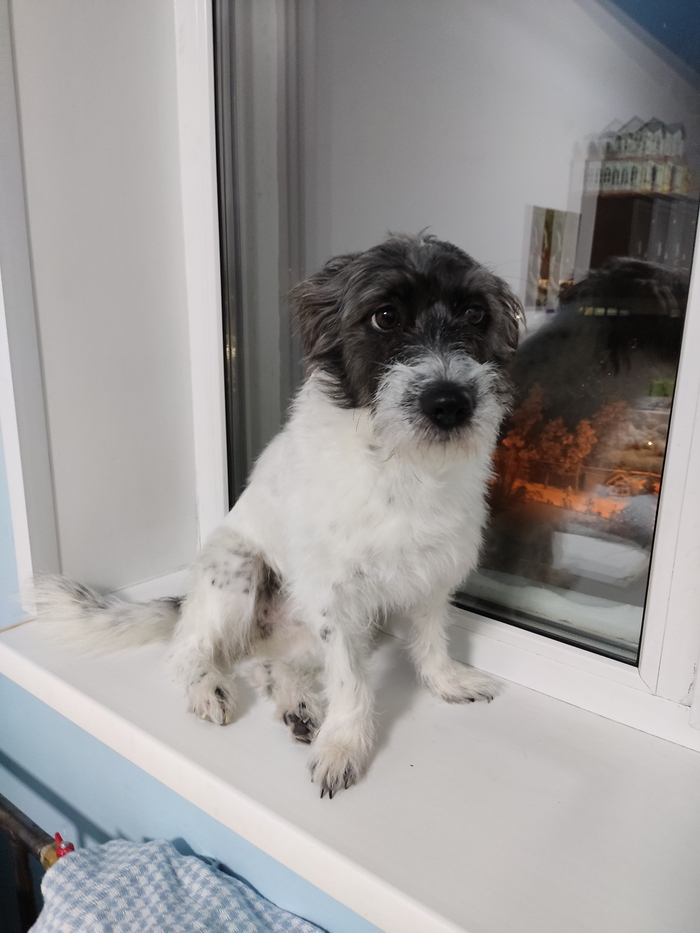 �������� ������ 