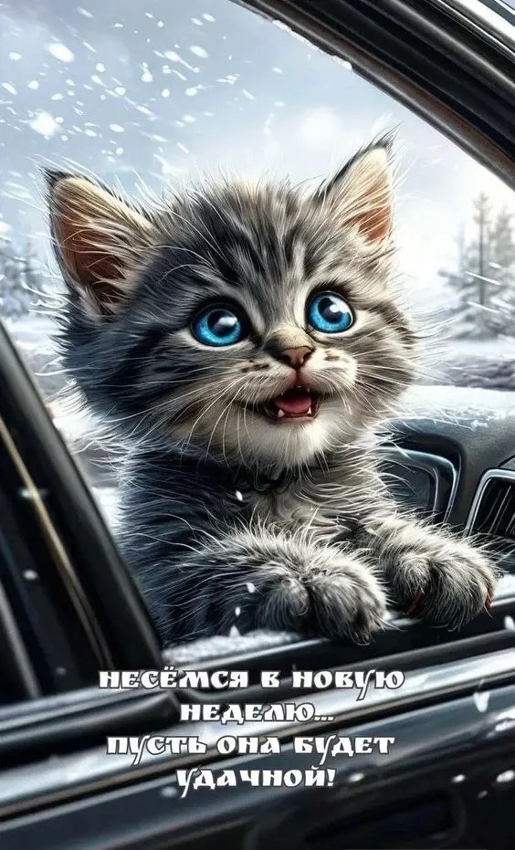 ������� ������!