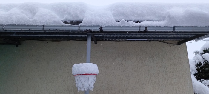 ���� ��� ����� ����� �� �����, ������ ���� ����, ����� 40�� :)