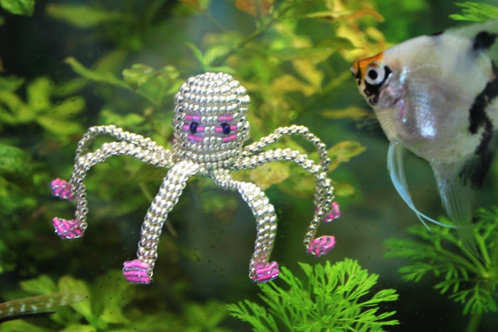 ������ ��������� � ���������!)