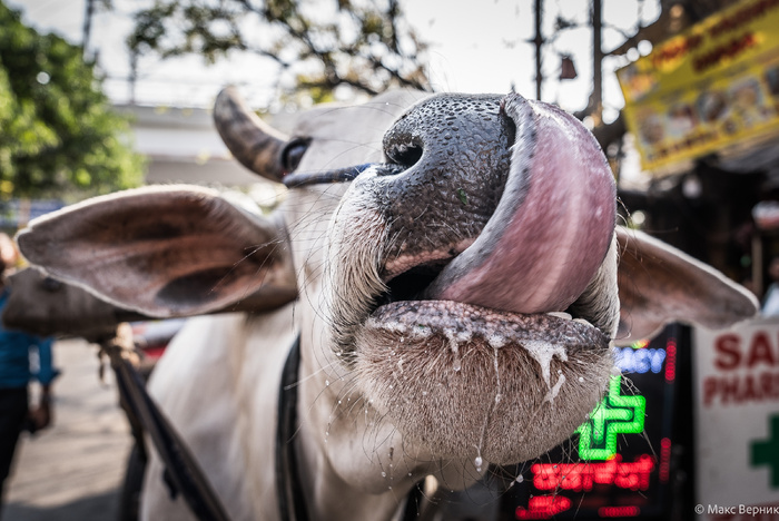 ������������ � ������� �����, �������... �������� ���������� ������ � ������ �������������� �� ����, ����������� �� ������� ����������� �� �������