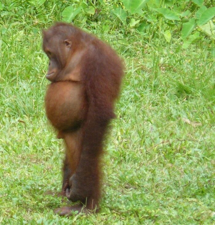 Я на квесте делаю вид, что думаю над загадкой, хотя даже не понимаю условие