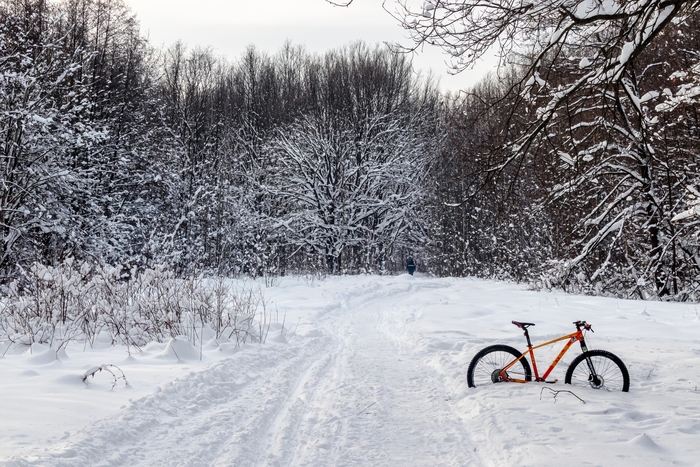 ������� � ����. ����� ���, ������ ������