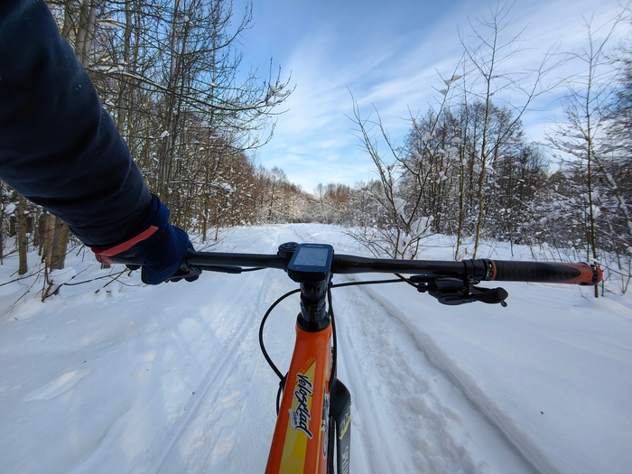 ����� �������