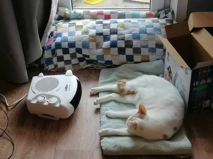 Предтыгыдычный обогрев Кота