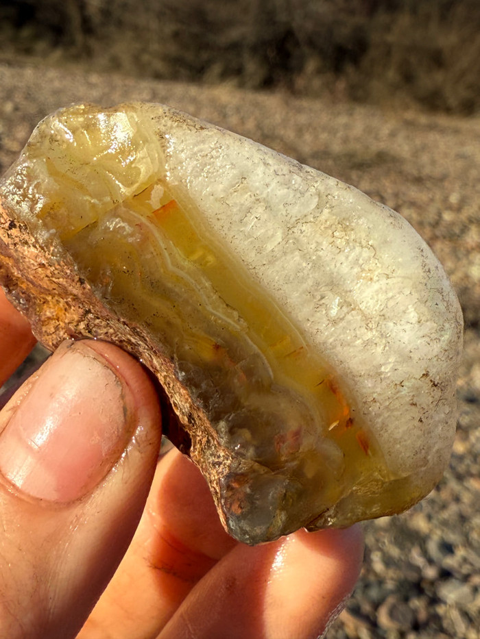 ������ �� �. ���� ����� ��� ����� ����������. �� � ������ �������� ����. ���������� ������.