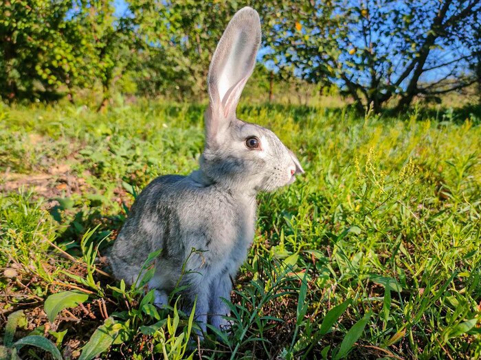 ����� ����� �� ������ ������ ������ ������������� ������������ �����. �� ���� ��� ������� ������� ���������, ������ ��������������� - �������