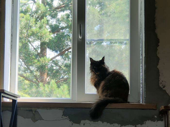 ����� ������ ��� � ����� �������� ��������, � �� ���������� � �������) �� � ��� ������� � ��� ���������