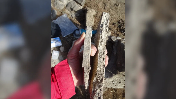 ������� ����������� ����� �� �������� � ����� ������