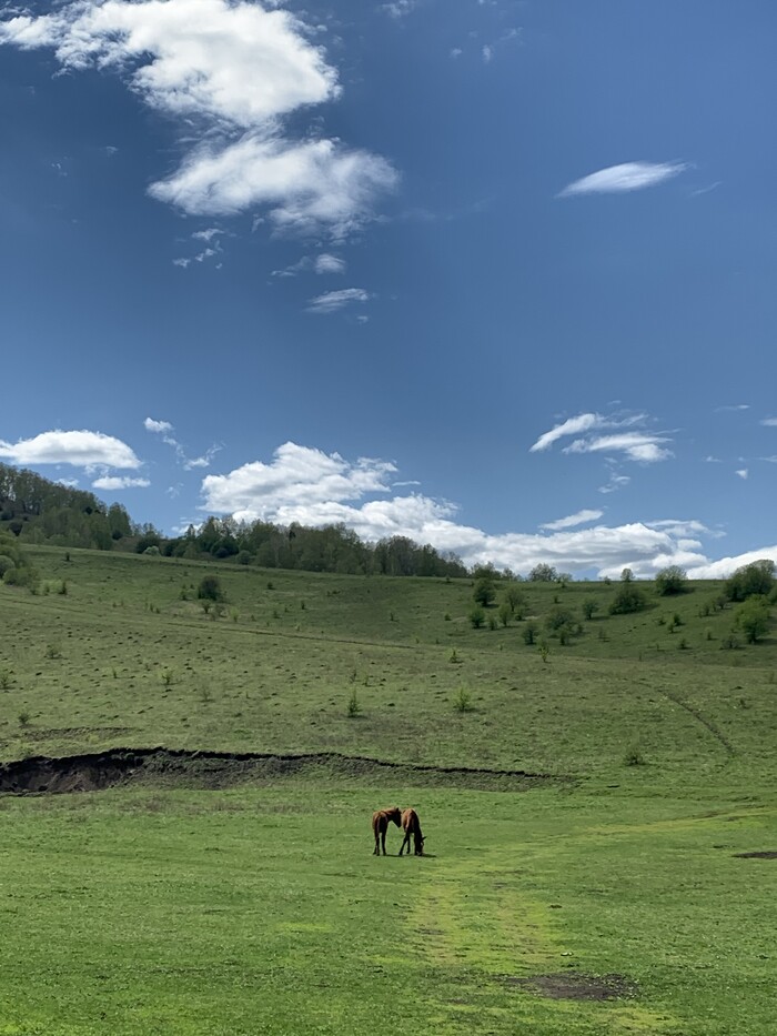 �� ����� ����� ����� �������. � ������ ���������. � ������� ������� ������ ���������. 