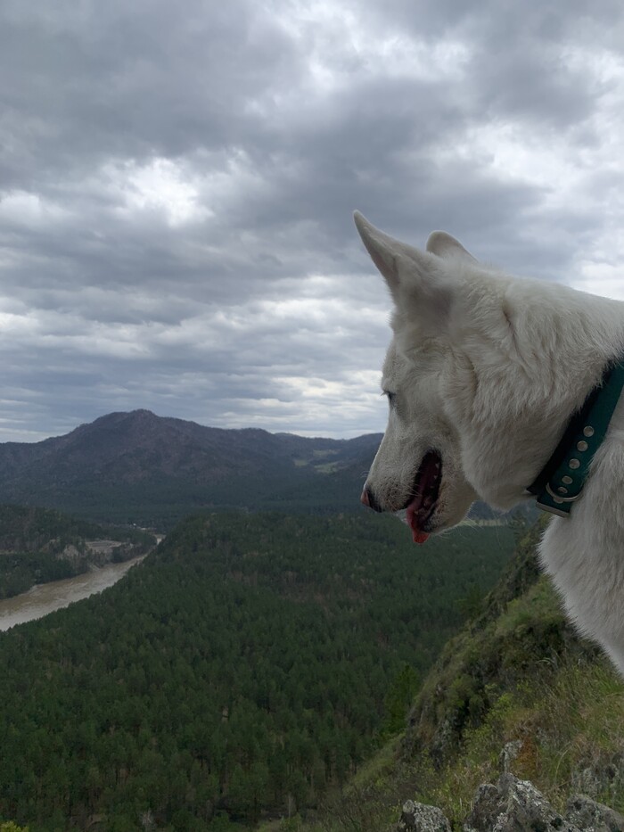 ��� � ������� �����-���