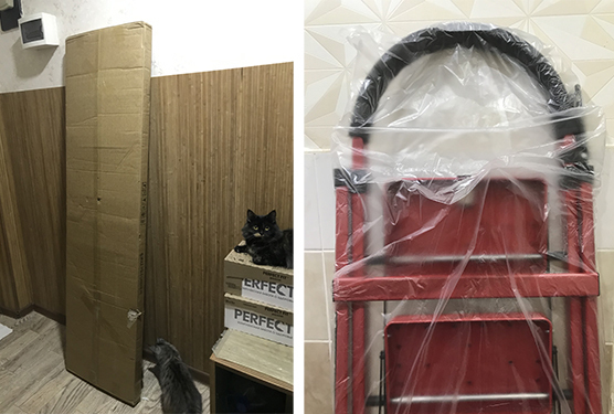 �������� ���������