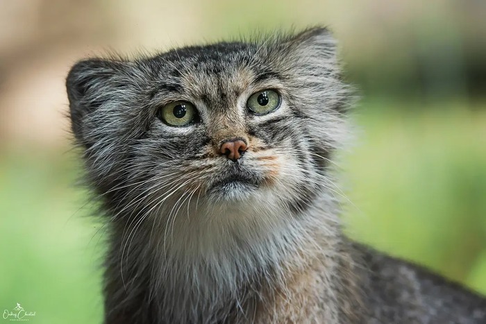 �� ���? � ������� ������?