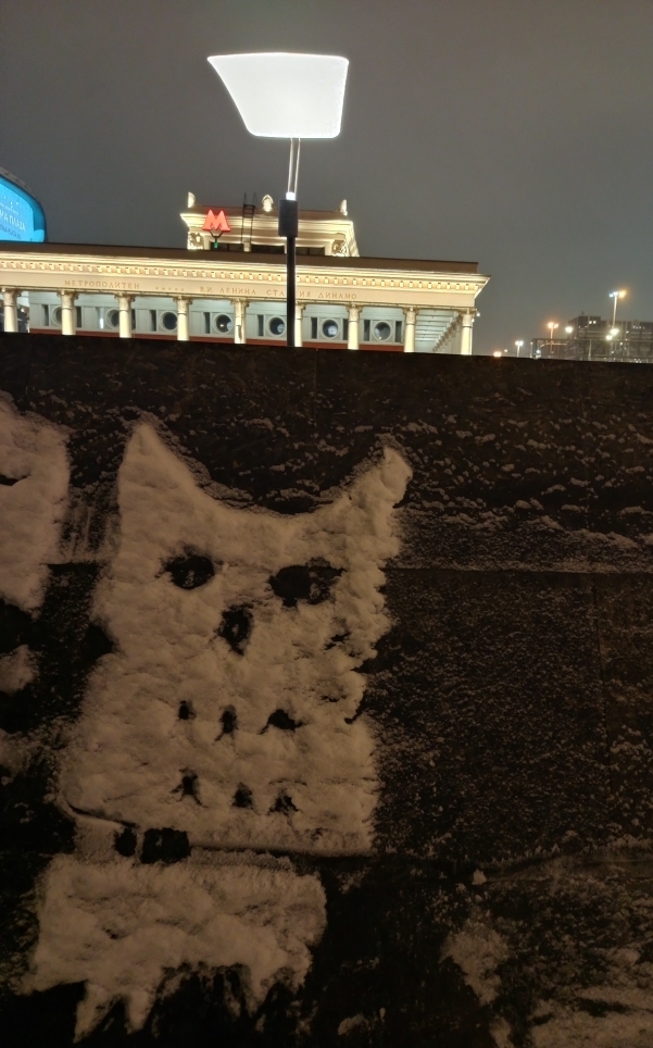 Совы - это почти котики))