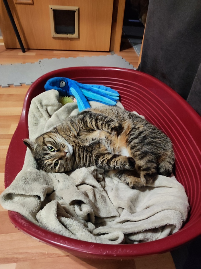 � ��� ���� ����� ������