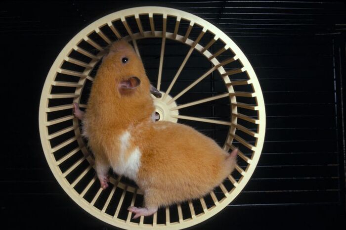 ��� ��� �� ����: ����� ������, ���� �������� � ����