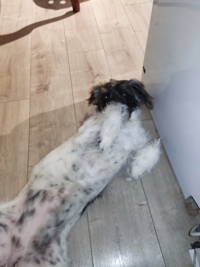 �������