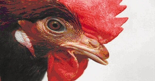 �������� ��� ��� �������� ���������� �������������