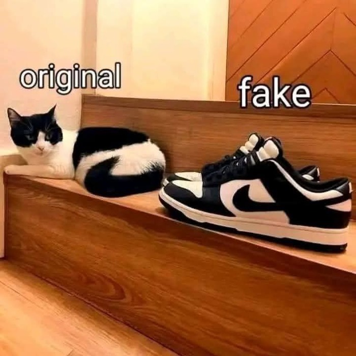 �������� � ��������