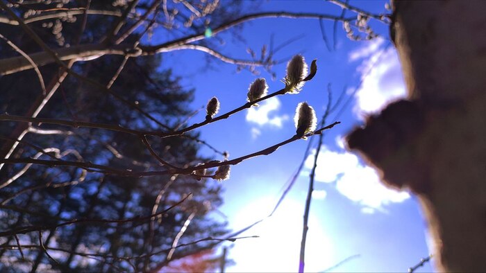 � ��� �� ����������, ��� ������� ��� ������� ����� � ����� ��������, ���������� ������������ ( � ������, ����� �� ����������������) ���������� ��������� �����.