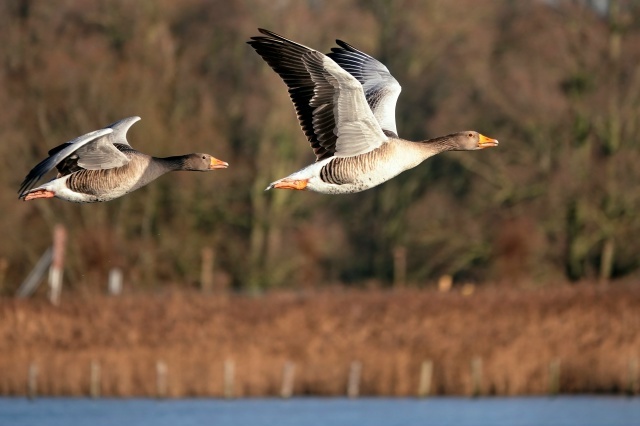 ��� ��� ������������ � ������� � �������� ������ �������� ��� �������� ������ � �������. �� ����, �������� �� ���� ����� �������� ��� �����, �� ���� ����� �����. ���� ������ ����� "�� ������", ���� ������ �� ������.